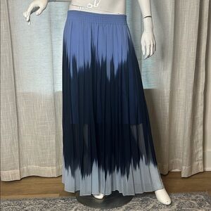 Banana Republic Blue Ombre Maxi Skirt